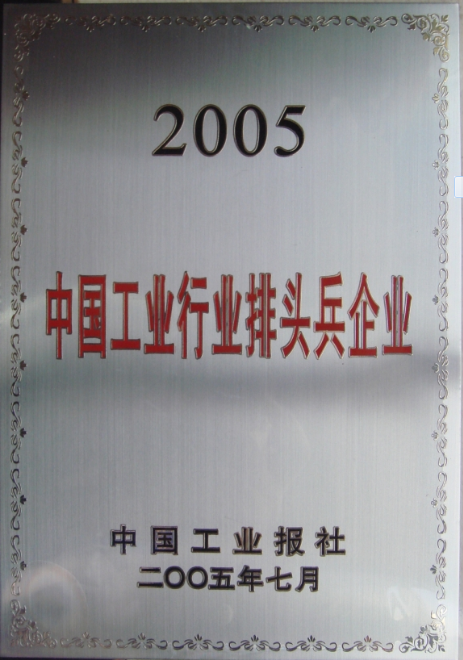 2005 中國(guó)工業(yè)行業(yè)排頭兵企業(yè)